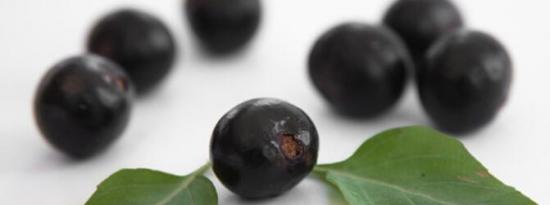 美味的超级食物：巴西莓碗的营养成分