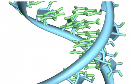 工程师设计了一种方法来选择性地开启人体细胞中的RNA疗法