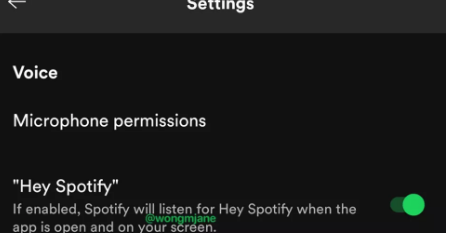 据报道应用程序内的HeySpotif语音助手正在开发中