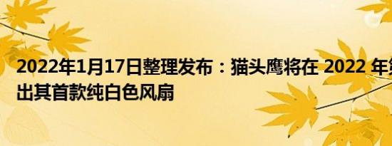 2022年1月17日整理发布：猫头鹰将在 2022 年第四季度推出其首款纯白色风扇