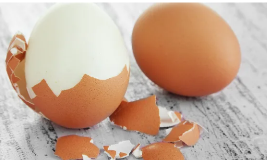关于鸡蛋的惊人真相