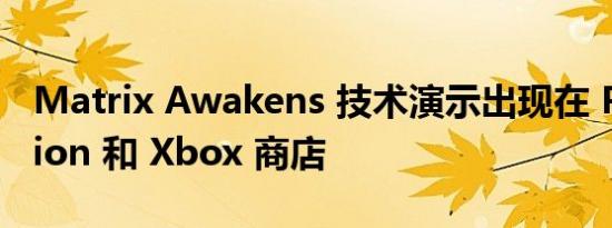 Matrix Awakens 技术演示出现在 PlayStation 和 Xbox 商店