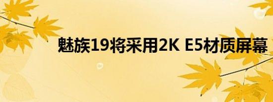 魅族19将采用2K E5材质屏幕