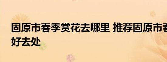 固原市春季赏花去哪里 推荐固原市春季赏花好去处 