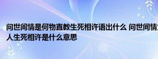 问世间情是何物直教生死相许语出什么 问世间情为何物直教人生死相许是什么意思 