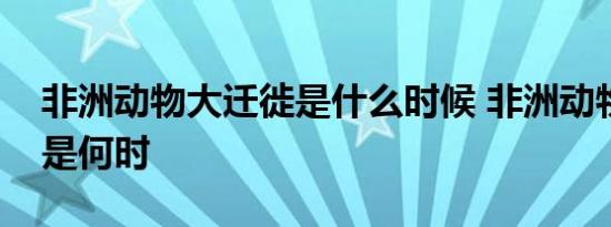 非洲动物大迁徙是什么时候 非洲动物大迁徙是何时 