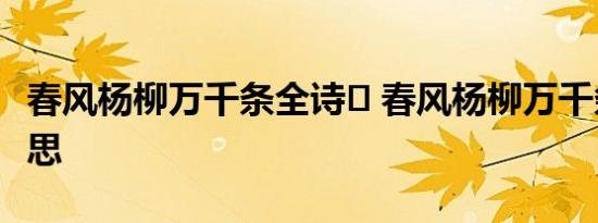 春风杨柳万千条全诗	 春风杨柳万千条全诗意思 