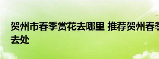 贺州市春季赏花去哪里 推荐贺州春季赏花好去处 