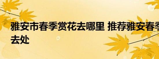 雅安市春季赏花去哪里 推荐雅安春季赏花好去处 