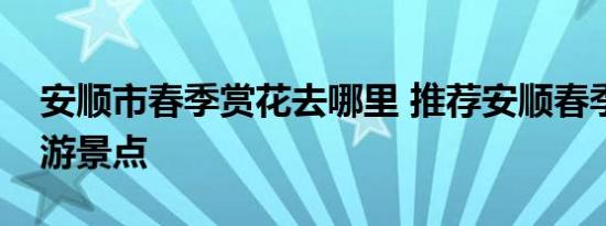 安顺市春季赏花去哪里 推荐安顺春季赏花旅游景点 