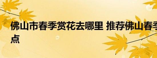 佛山市春季赏花去哪里 推荐佛山春季赏花景点 