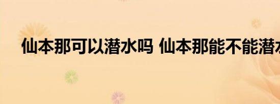 仙本那可以潜水吗 仙本那能不能潜水吗 