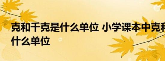 克和千克是什么单位 小学课本中克和千克是什么单位 