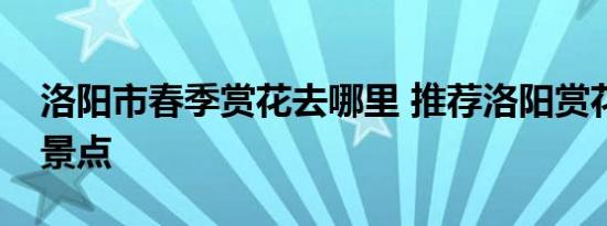 洛阳市春季赏花去哪里 推荐洛阳赏花的最佳景点 