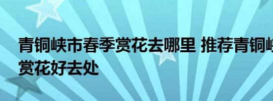 青铜峡市春季赏花去哪里 推荐青铜峡市春季赏花好去处 