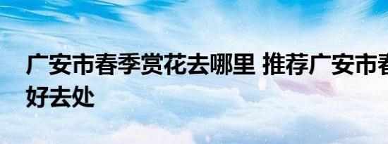 广安市春季赏花去哪里 推荐广安市春季赏花好去处 