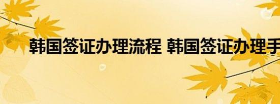 韩国签证办理流程 韩国签证办理手续 