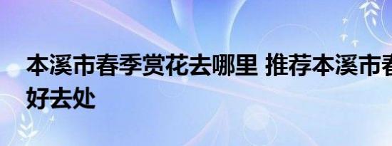 本溪市春季赏花去哪里 推荐本溪市春季赏花好去处 