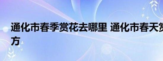 通化市春季赏花去哪里 通化市春天赏花的地方 