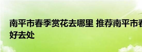 南平市春季赏花去哪里 推荐南平市春季赏花好去处 