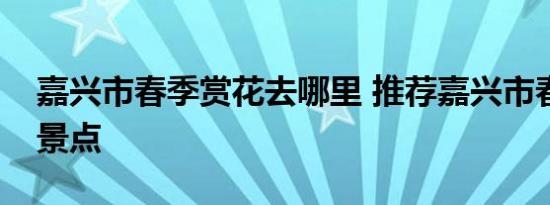 嘉兴市春季赏花去哪里 推荐嘉兴市春季赏花景点 