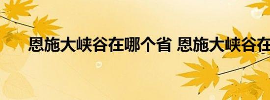 恩施大峡谷在哪个省 恩施大峡谷在哪 