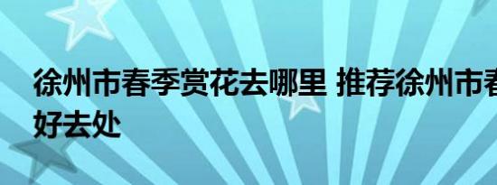 徐州市春季赏花去哪里 推荐徐州市春季赏花好去处 