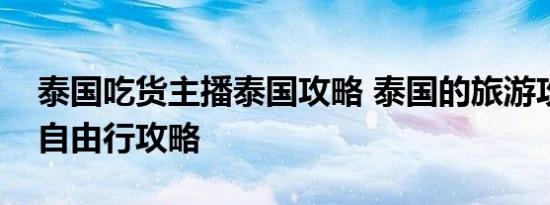 泰国吃货主播泰国攻略 泰国的旅游攻略泰国自由行攻略 