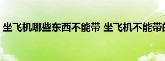 坐飞机哪些东西不能带 坐飞机不能带的东西 