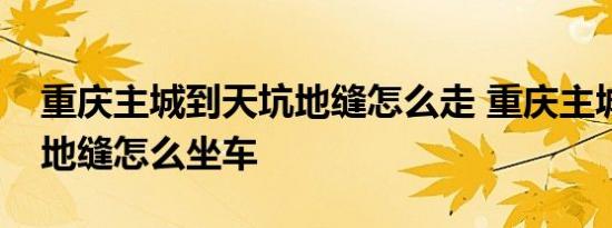 重庆主城到天坑地缝怎么走 重庆主城到天坑地缝怎么坐车 