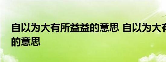 自以为大有所益益的意思 自以为大有所益益的意思 