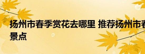 扬州市春季赏花去哪里 推荐扬州市春季赏花景点 