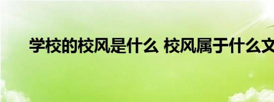 学校的校风是什么 校风属于什么文化 