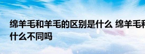 绵羊毛和羊毛的区别是什么 绵羊毛和羊毛有什么不同吗 