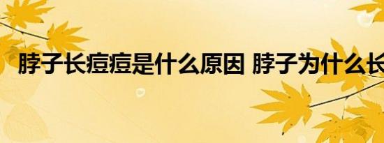 脖子长痘痘是什么原因 脖子为什么长痘痘 