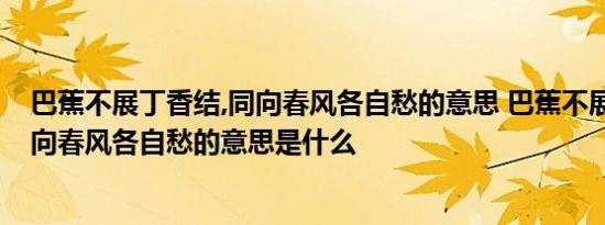 巴蕉不展丁香结,同向春风各自愁的意思 巴蕉不展丁香结,同向春风各自愁的意思是什么 