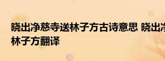 晓出净慈寺送林子方古诗意思 晓出净慈寺送林子方翻译 