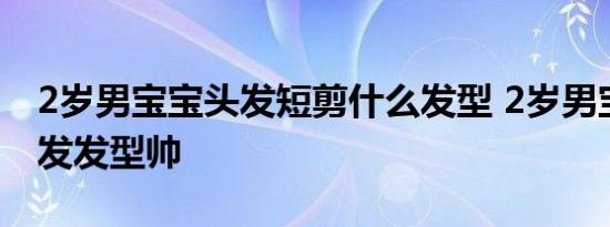 2岁男宝宝头发短剪什么发型 2岁男宝宝短头发发型帅 