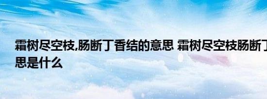 霜树尽空枝,肠断丁香结的意思 霜树尽空枝肠断丁香结的意思是什么 