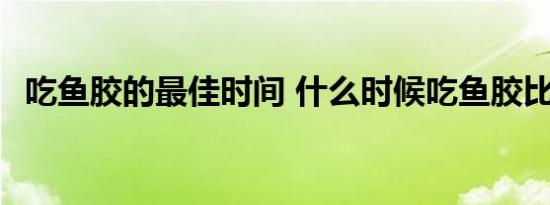 吃鱼胶的最佳时间 什么时候吃鱼胶比较好 