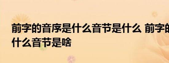 前字的音序是什么音节是什么 前字的音序是什么音节是啥 