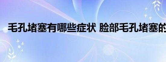 毛孔堵塞有哪些症状 脸部毛孔堵塞的表现 