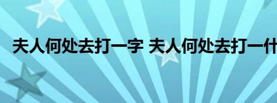 夫人何处去打一字 夫人何处去打一什么字 