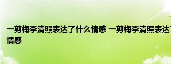 一剪梅李清照表达了什么情感 一剪梅李清照表达了作者什么情感 