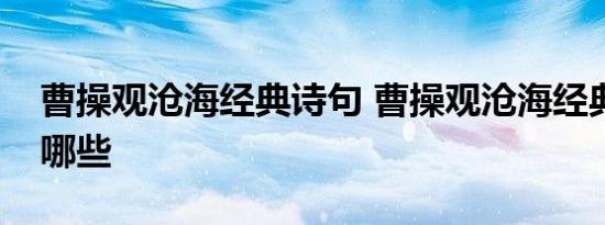 曹操观沧海经典诗句 曹操观沧海经典诗句有哪些 