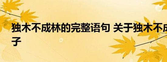 独木不成林的完整语句 关于独木不成林的句子 