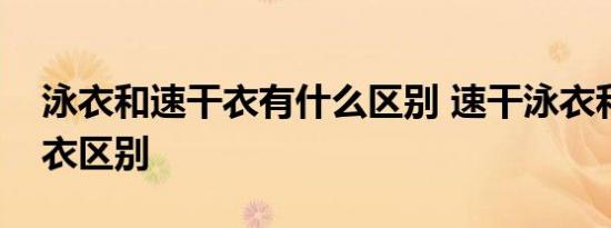 泳衣和速干衣有什么区别 速干泳衣和普通泳衣区别   