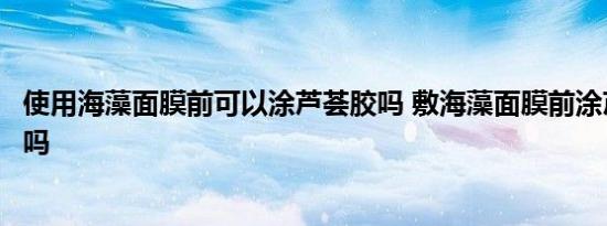 使用海藻面膜前可以涂芦荟胶吗 敷海藻面膜前涂芦荟胶可以吗 