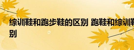 综训鞋和跑步鞋的区别 跑鞋和综训鞋什么区别  