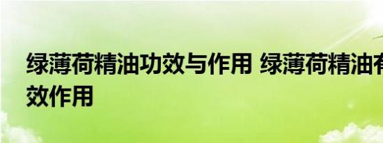 绿薄荷精油功效与作用 绿薄荷精油有哪些功效作用 